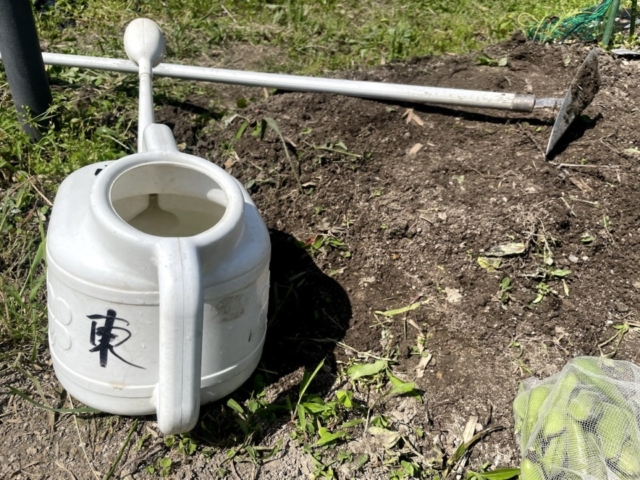 貸し農園で家庭菜園にチャレンジ 初心者編 まっぷるトラベルガイド