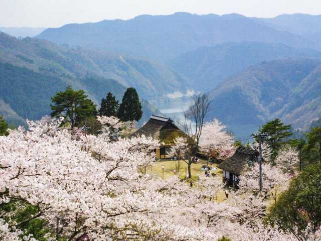 岡山の大きい公園おすすめ10選 デートやピクニックにも まっぷるトラベルガイド