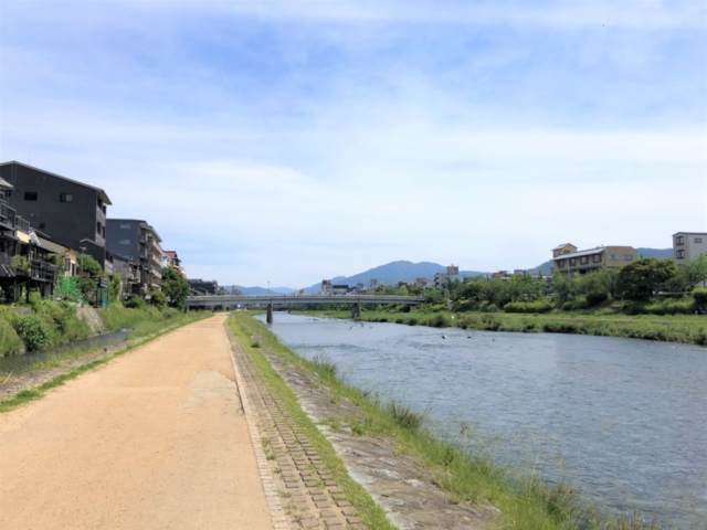 京都 鴨川観光へgo 橋の名前に京都の歴史あり 鳥たちにも出会える癒やし度満点の一日を 7枚目の画像