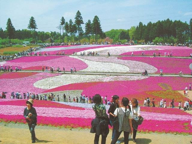 埼玉の大きい公園おすすめ27選 デートやピクニックにも まっぷるトラベルガイド