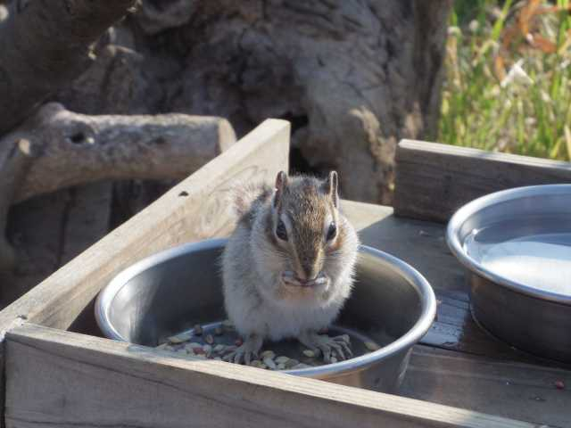 埼玉 公園おすすめ27選 デートやピクニックにも まっぷるトラベルガイド