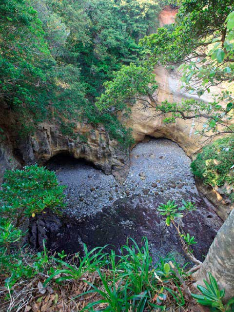 静岡 公園おすすめ30選 デートやピクニックにも まっぷるトラベルガイド