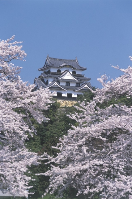 日本の世界遺産を総まとめ それぞれの魅力や見どころのポイントを解説 注目の新たな世界遺産ネタも まっぷるトラベルガイド