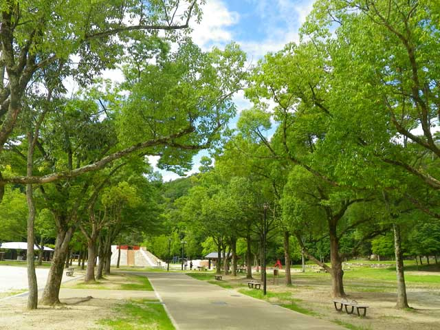 京都の大きい公園おすすめ15選 広い公園に遊びに行こう まっぷるトラベルガイド