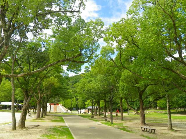 京都 おすすめ公園15選 遊具やアスレチックも まっぷるトラベルガイド