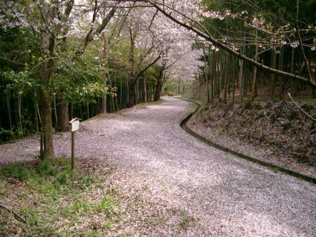 和歌山 穴場のおでかけスポット30選 コロナ禍でも安心して楽しめる まっぷるトラベルガイド