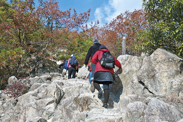 兵庫 六甲山 砥峰高原 さわやか風景ハイキング 日常を忘れて自然の中へ まっぷるトラベルガイド