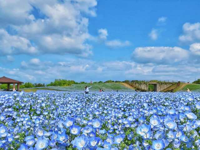 福岡のサイクリングスポットおすすめ選 定番から穴場までご紹介 まっぷるトラベルガイド