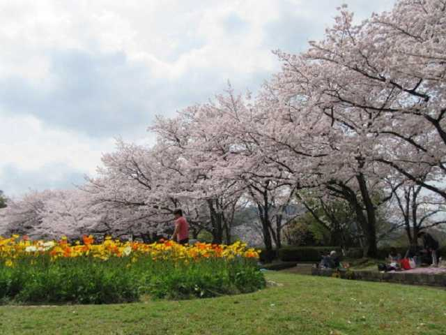 福岡の大きい公園おすすめ選 広い公園に遊びに行こう まっぷるトラベルガイド