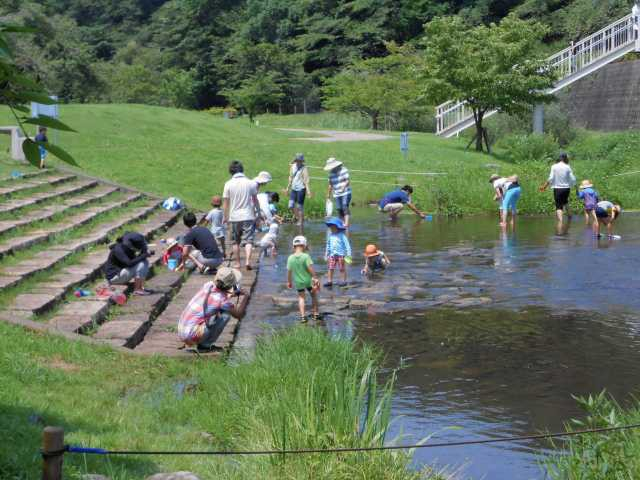 神奈川の大きい公園おすすめ45選 広い公園に遊びに行こう まっぷるトラベルガイド