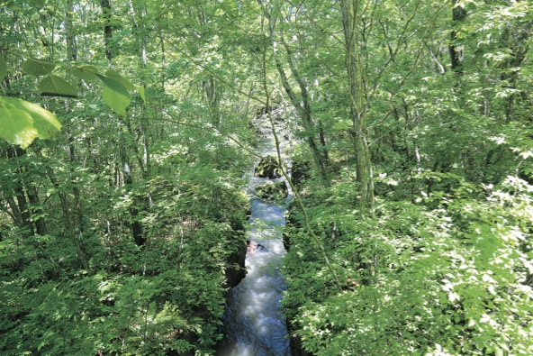 【北海道】緑と調和する水の絶景！「樽前ガロー」がある苫小牧へ