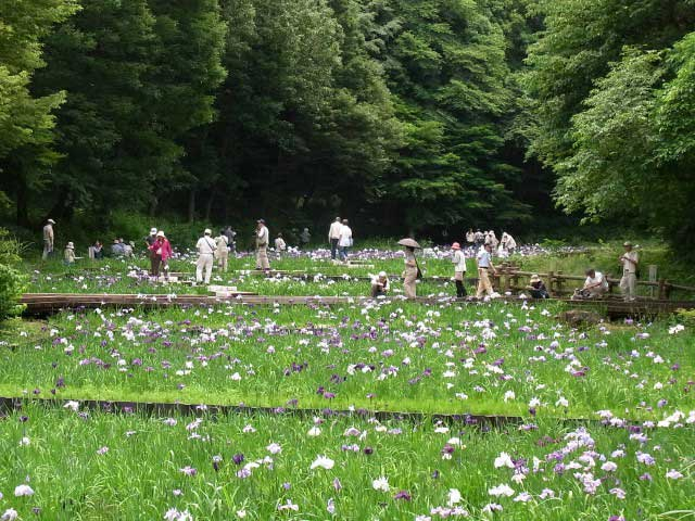 神奈川の大きい公園おすすめ45選 デートやピクニックにも まっぷるトラベルガイド