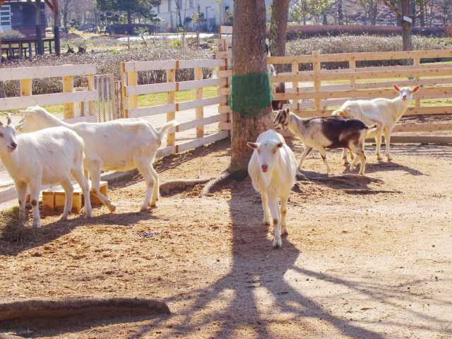 岡山の大きい公園おすすめ10選 広い公園に遊びに行こう まっぷるトラベルガイド