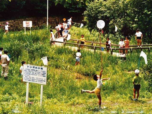 神戸 おすすめ公園7選 デートやピクニックにも 6枚目の画像