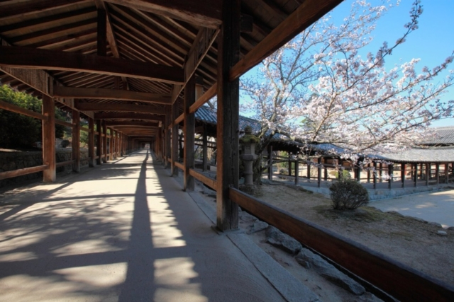 季節の花々が彩る境内