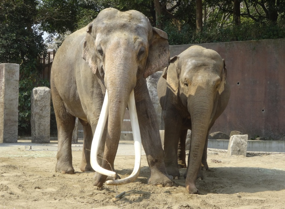 横浜市 金沢動物園