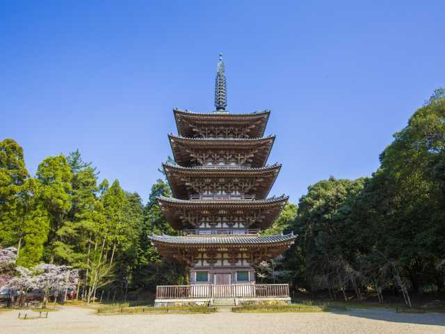 京都でひとり旅を楽しもう 1人で訪れたいおすすめスポット選 まっぷるトラベルガイド