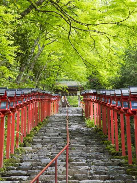 京都でひとり旅を楽しもう 1人で訪れたいおすすめスポット選 まっぷるトラベルガイド