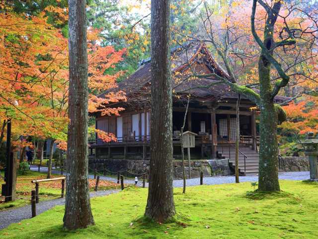 京都でひとり旅を楽しもう 1人で訪れたいおすすめスポット選 まっぷるトラベルガイド