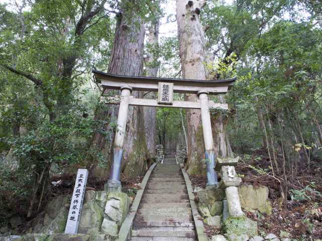 和歌山のおすすめドライブスポット選 定番から穴場までご紹介 まっぷるトラベルガイド