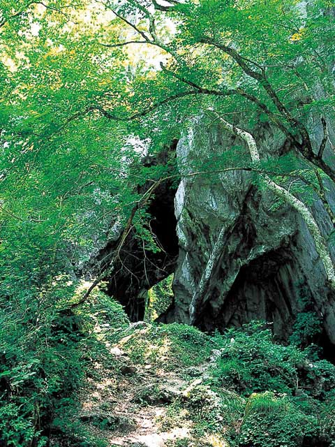 広島のおすすめドライブスポット22選 定番から穴場までご紹介 まっぷるトラベルガイド