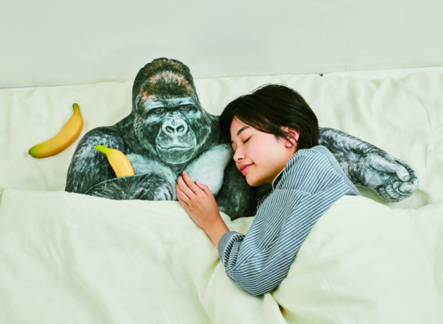 東山動植物園 ニシゴリラ シャバーニの人気の秘密を深掘り まっぷるトラベルガイド