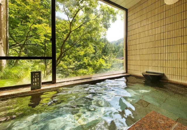 石川県 和倉温泉 山中温泉 山代温泉 憧れの高級旅館 温泉宿ガイドブックのプロがおすすめする 一度は泊まりたい至高の宿 56枚目の画像