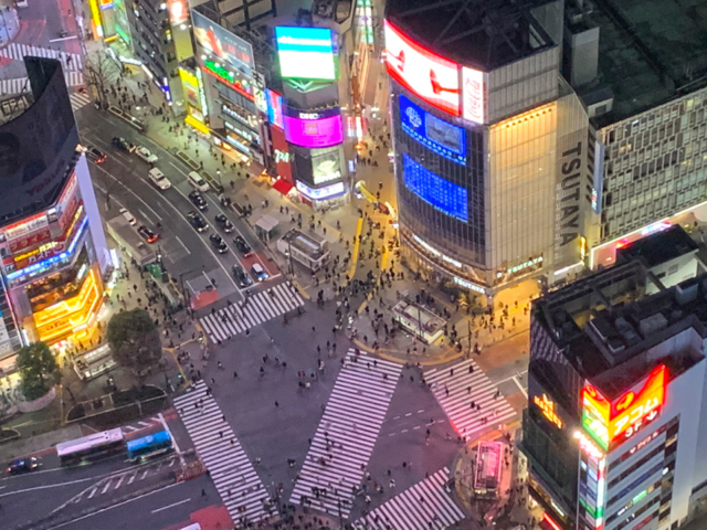 東京都内のおすすめ夜景スポット13選 夜景ツウが知る穴場スポットをご紹介 まっぷるトラベルガイド