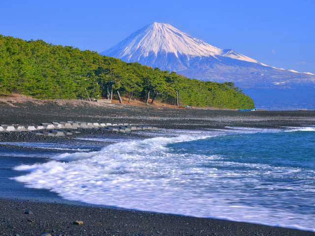 【静岡】おすすめの日帰りおでかけスポット20選