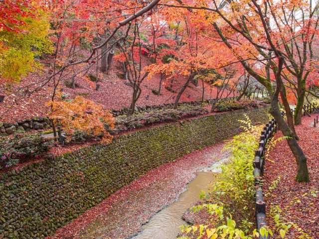 北野天満宮・大徳寺エリアの紅葉おすすめスポット！モデルコースもご案内♪
