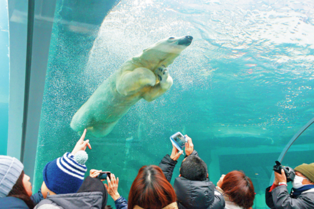 札幌のおすすめドライブスポット27選 定番から穴場までご紹介 まっぷるトラベルガイド