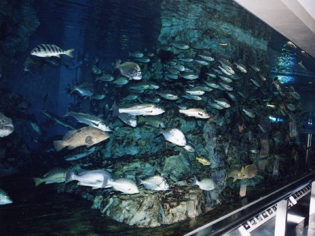 京都 雨の日デートにおすすめ 雨だから行きたい京都のおでかけスポット30選 まっぷるトラベルガイド