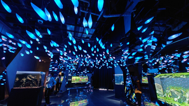 三宮でデートするなら ベイエリアに異人館 行きたいスポット30選 まっぷるトラベルガイド