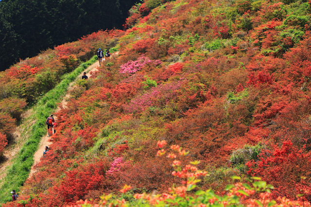 絶景 関西の登山スポット10選 日帰りで楽しいおすすめの名山が勢ぞろい まっぷるトラベルガイド