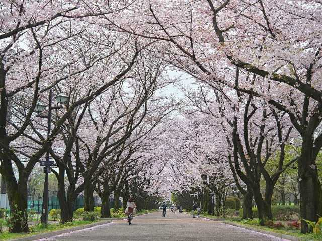 東京 子供の遊び場30選 子供と行きたいおすすめスポットご紹介 まっぷるトラベルガイド