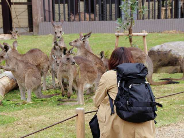 横浜 子どもの遊び場30選 子どもと行きたいおすすめスポットご紹介 まっぷるトラベルガイド