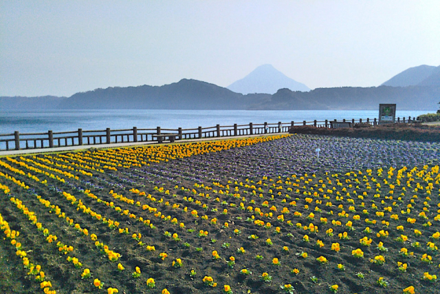 九州の絶景 登山スポット10選 登り応えのある名峰と世界遺産の大自然 まっぷるトラベルガイド