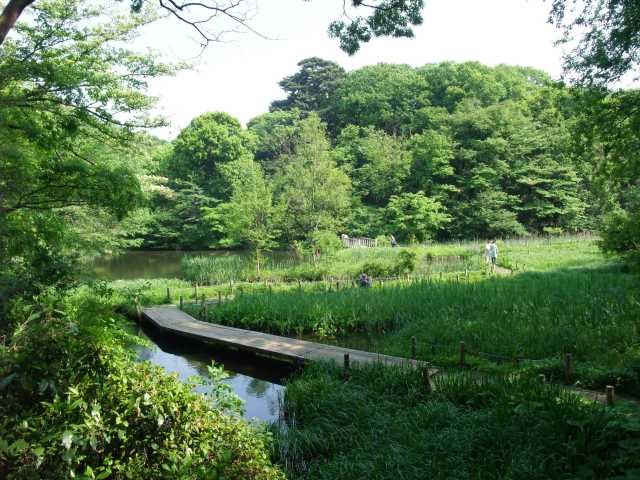 東京のおすすめ夏デートスポット50選 絶対に外さない 8 9月のおすすめ夏スポット まっぷるトラベルガイド