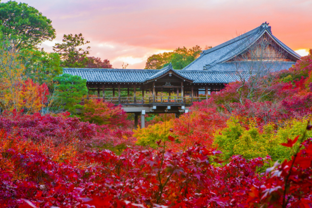 この秋京都の紅葉を見に行くなら。『遺留捜査』のキャストがおすすめする社寺はこちら