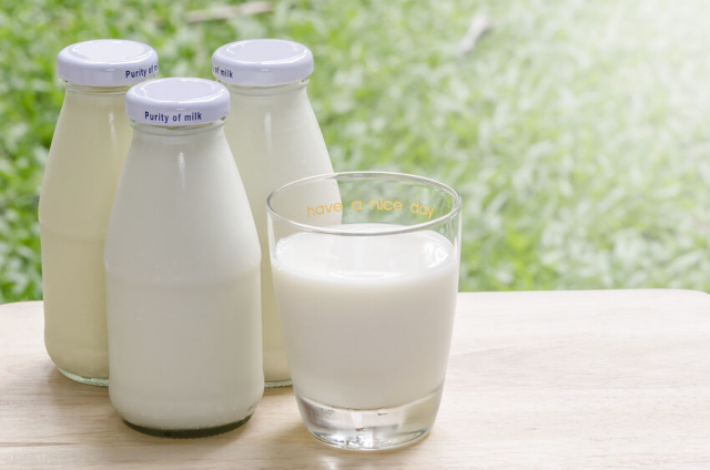 牛乳好きにおすすめの旅先のガイドブック６選