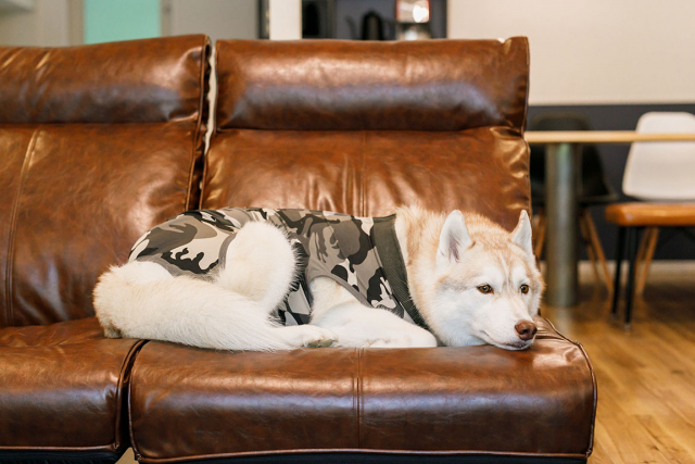 VILLA FOREST RUN(兵庫県・加東市)