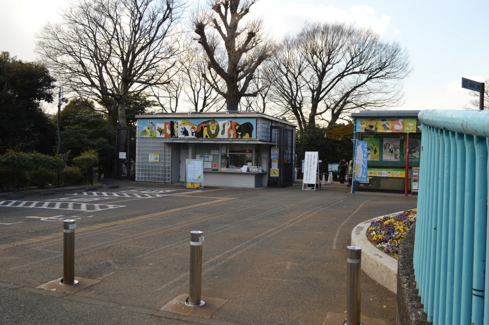 野毛山動物園の画像 4枚目