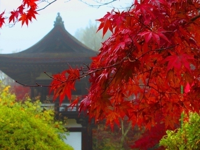 【奈良県・紅葉】例年の見頃時期やイベント、ライトアップなど情報満載！奈良のおすすめ紅葉スポット8件