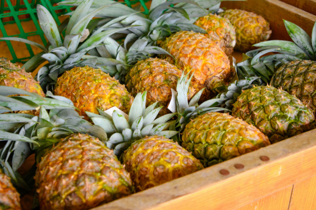 パイナップルの里の魅力を堪能できる道の駅 サンライズひがし