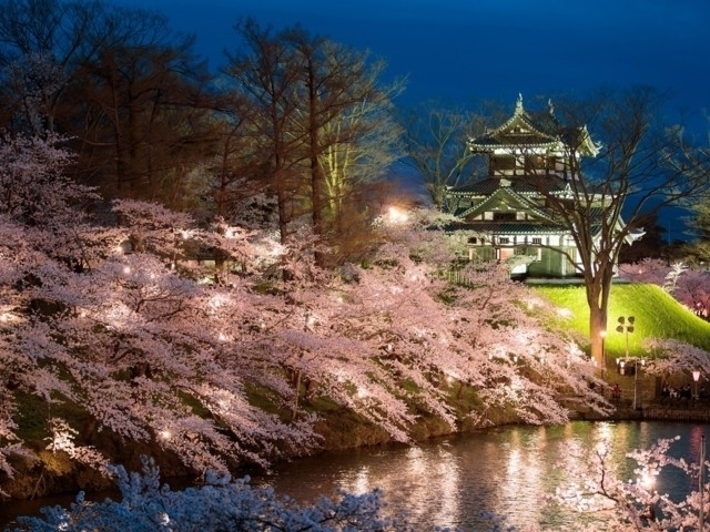 新潟県の桜の名所・お花見スポットおすすめ11選－2024年はどこの桜を見に行く？