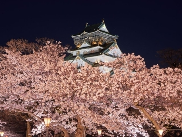 大阪府の桜の名所・お花見スポットおすすめ9選－2024年はどこの桜を見に行く？