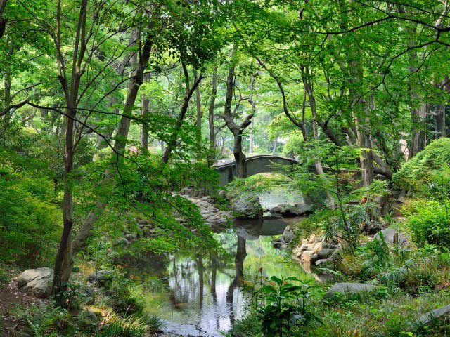 東京の癒しスポット15選！緑や水のある公園でリラックスしよう