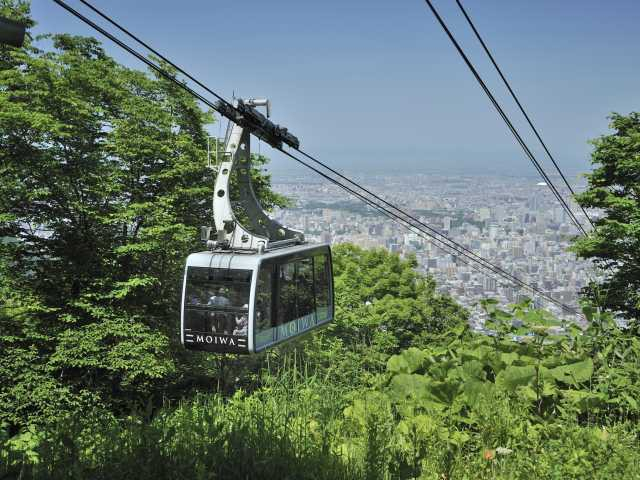 藻岩山観光モデルコース！気軽なハイキングで札幌の街並と貴重な植物を観察