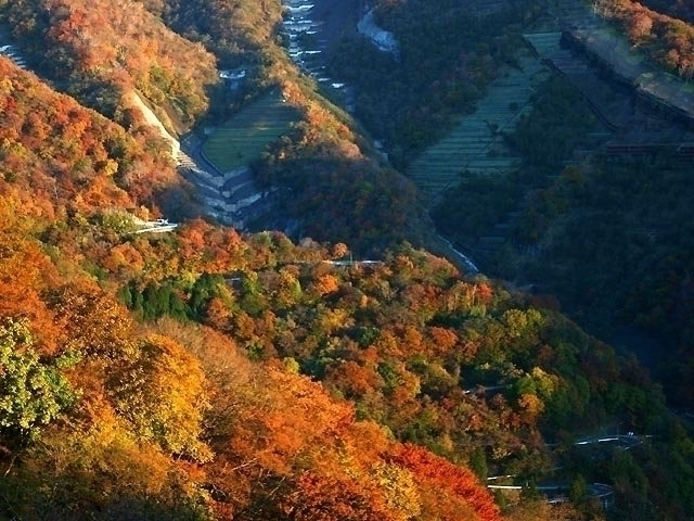 関東の紅葉ドライブスポットおすすめ33選！絶景スポット&穴場を県別に紹介