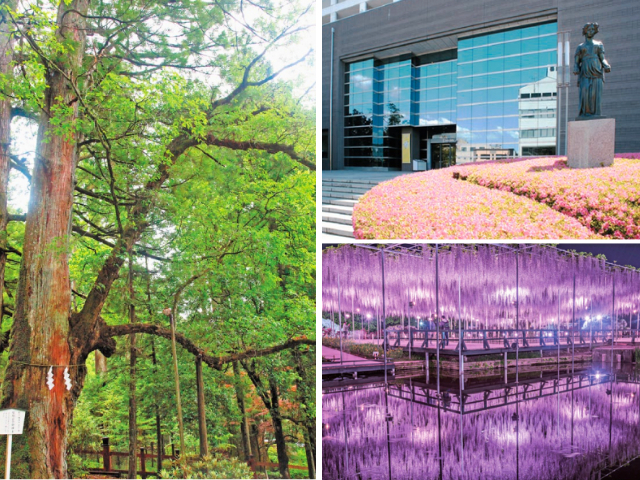 【日帰り弾丸】栃木をめぐる刀旅モデルコース!『まっぷる 刀剣乱舞トラベラーズガイド』で刀旅を楽しもう